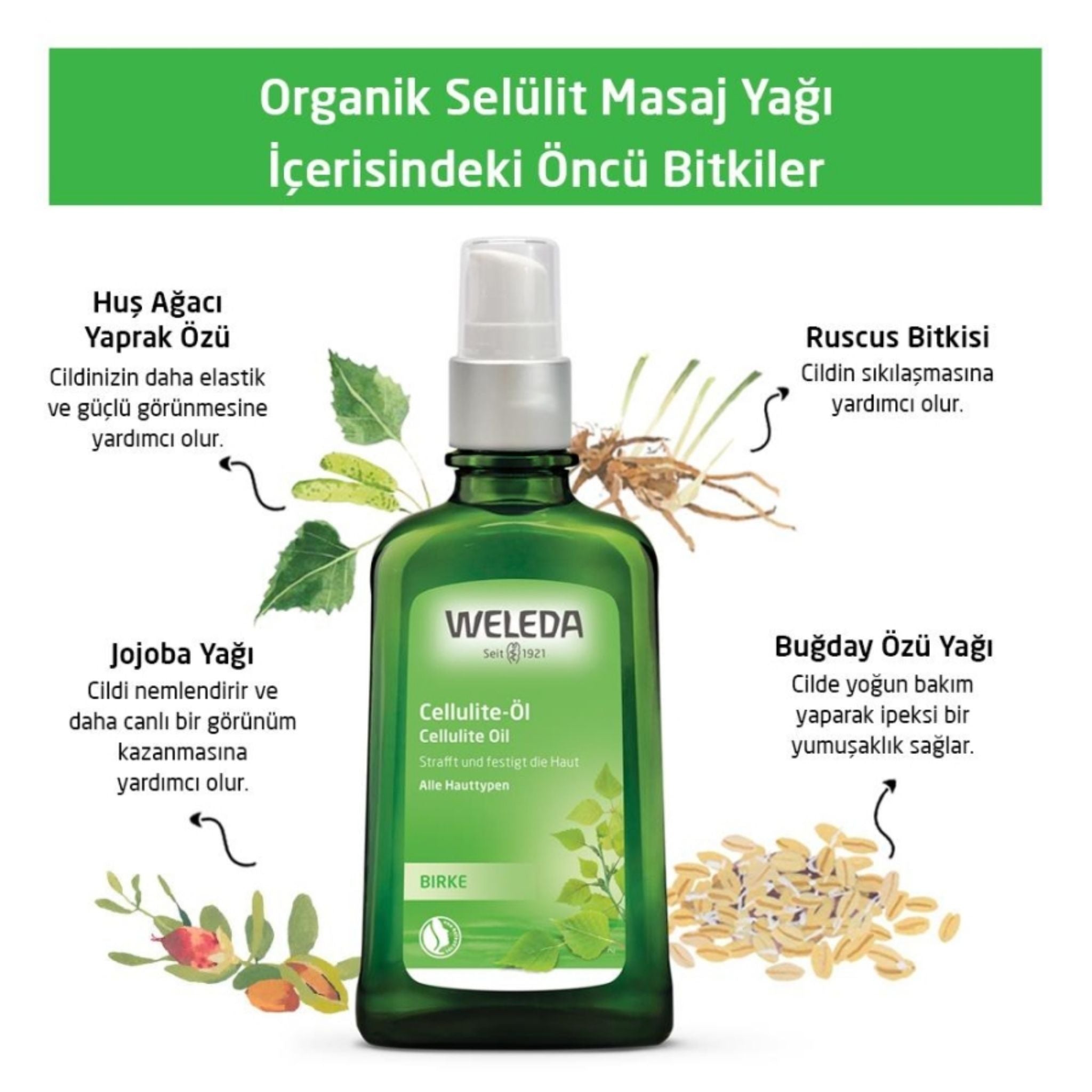 Weleda Birch Selülit Masaj Yağı 100ml