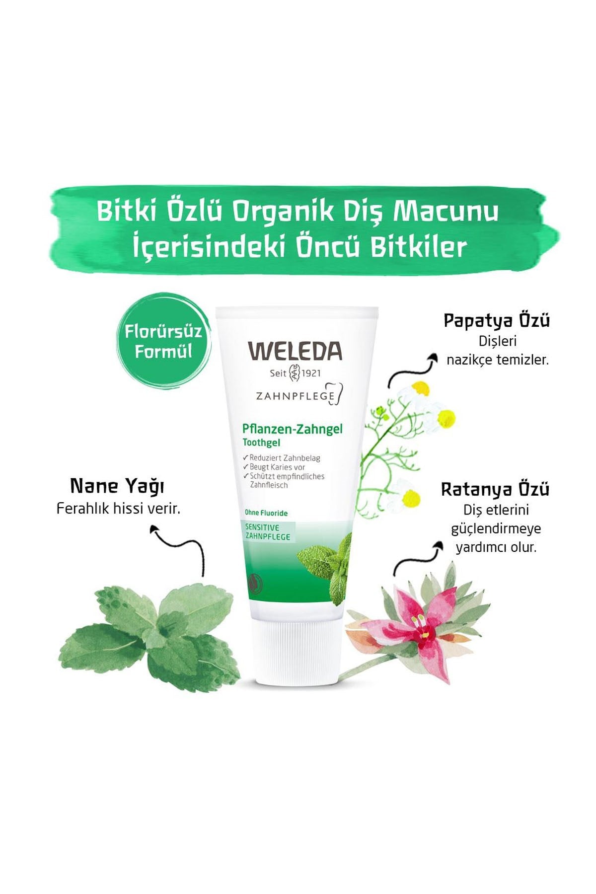 Weleda Bitki Özlü Organik Diş Macunu 75 ML