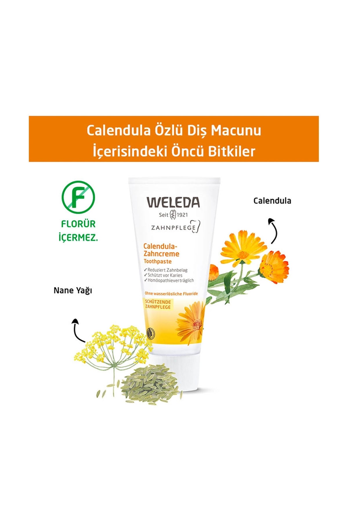 Weleda Calendula Özlü Organik Diş Macunu 75ml