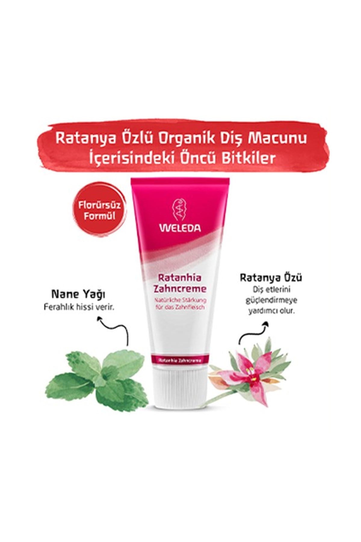 Weleda Ratanya Özlü Organik Diş Macunu 75 ML