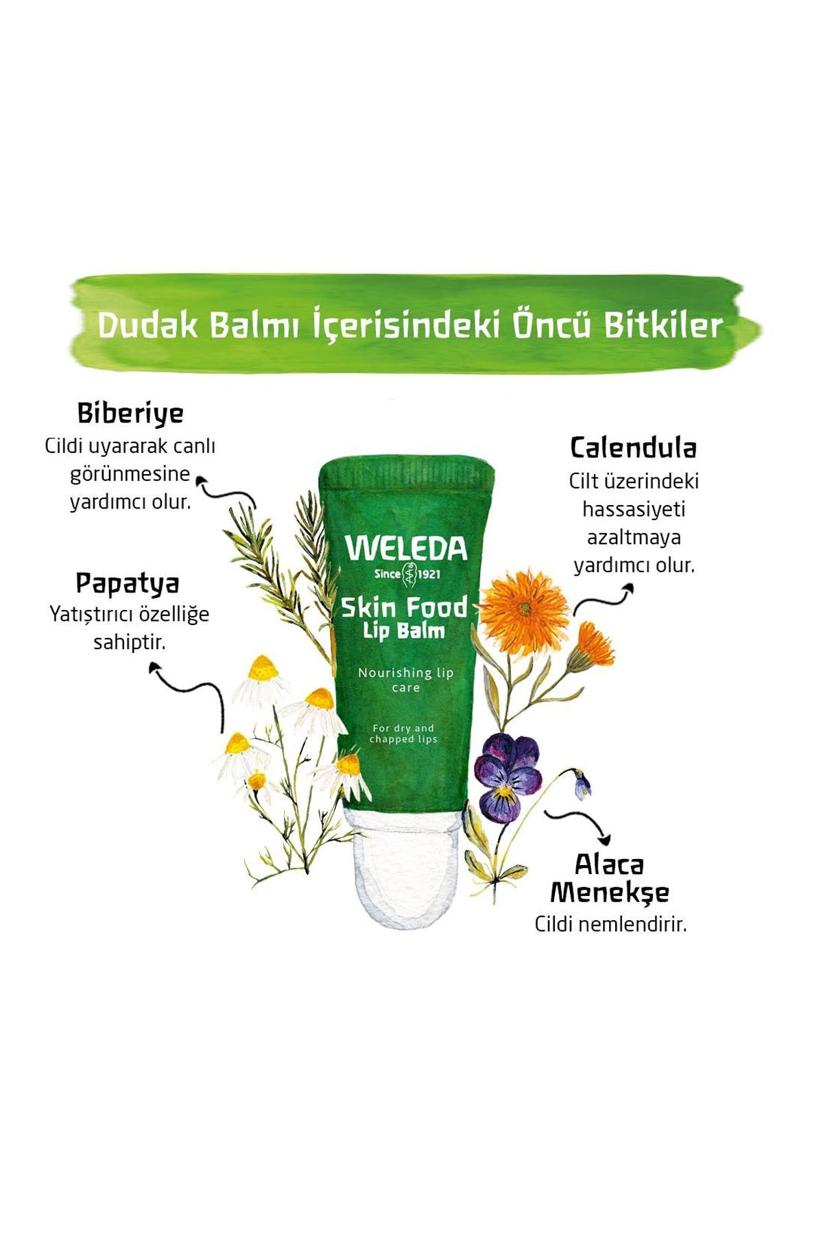 Weleda Skin Food Organik Besleyici Dudak Balmı 8 ML