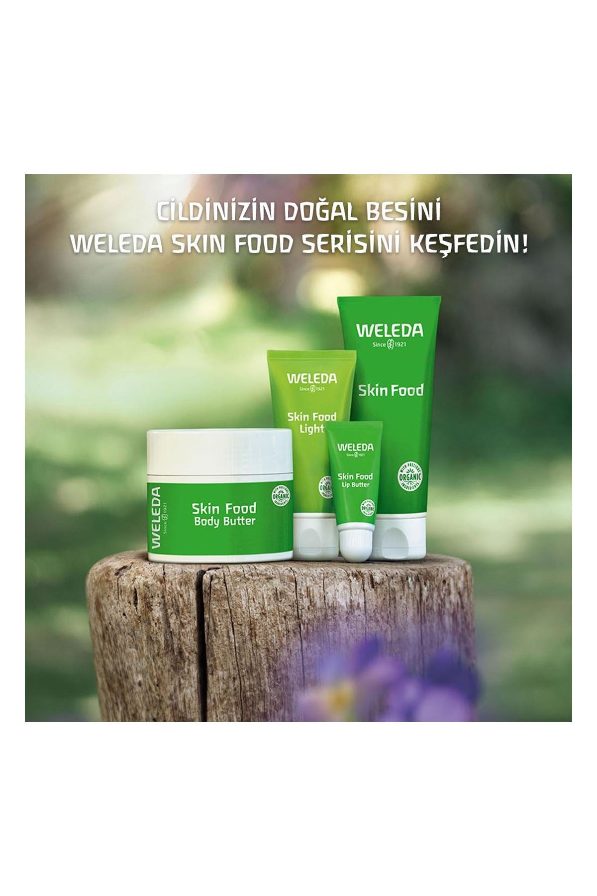 Weleda Skin Food Organik Besleyici Dudak Balmı 8 ML