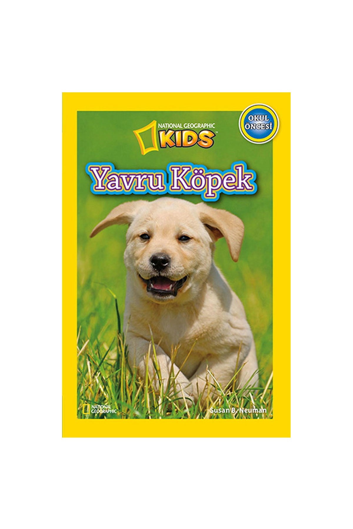 Yavru Köpekler